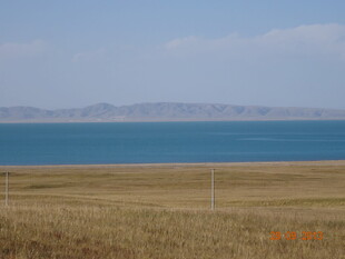 广阔湖畔的荒凉草地景观