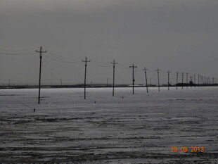 海上林立的电线杆景观
