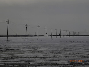 水中林立的电线杆景观