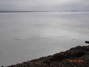 平静湖面与岸边景致