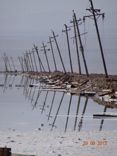 水中林立的电线杆倒影