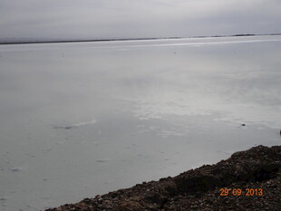 广阔水域与岸边景象