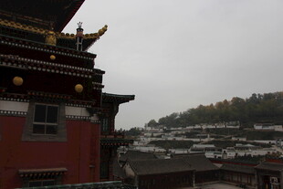 藏式建筑屋顶与远处景观