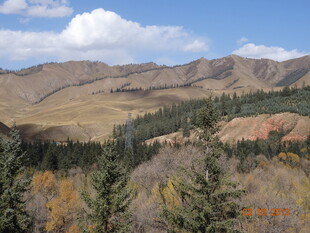 秋日山林间的壮美山景