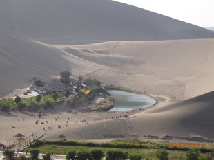 沙漠中的绿洲景观