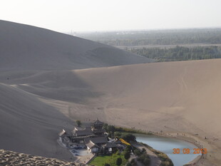 沙漠中的绿洲景观