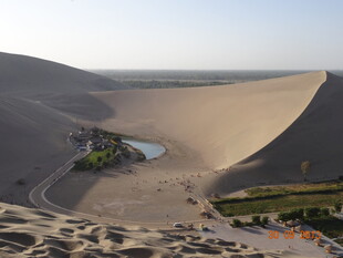 沙漠中的绿洲景观