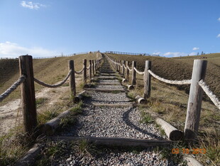 乡间木栏小径 自然景致