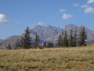 高山草甸间的壮美风光
