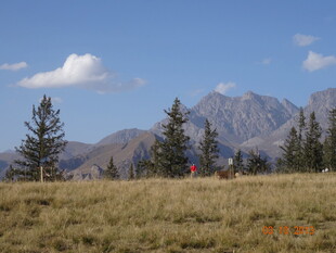草原上的远山与树木