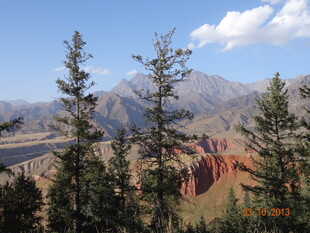 山间美景 绿树与山峦相映