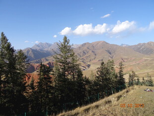 山间松林与远处山脉风景