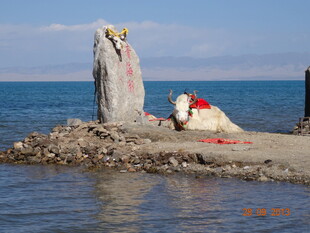 青海湖边的祈福石碑
