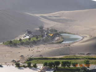 沙漠中的绿洲景观