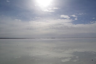 阳光下的广阔平静湖面