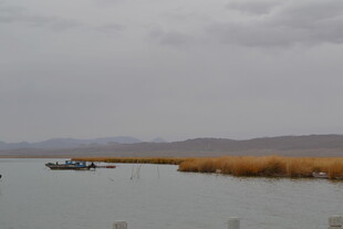 湖畔孤舟 静谧自然风光