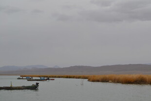 湖畔小船与芦苇的静谧景致