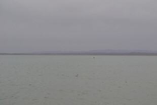 灰蒙天空下的平静水域