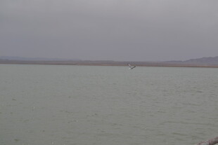 雾霭中的平静湖水