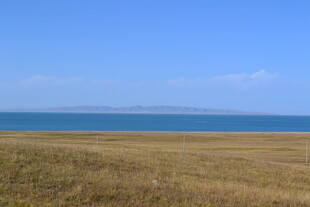 草原与海的辽阔景致