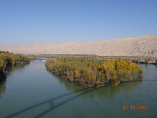 河畔沙洲秋色美景
