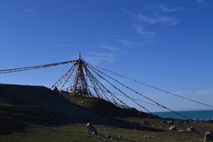 海边壮观的缆索结构建筑