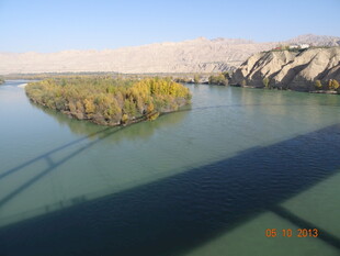 河畔秋景 水中绿意盎然
