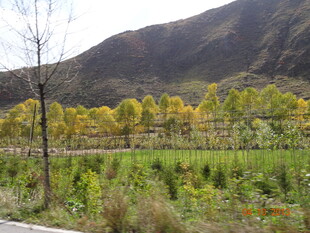 秋日山野田园风光