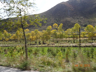 秋日山间田野风景