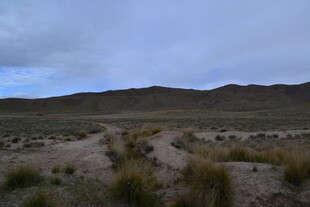 荒凉旷野的自然景观