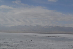 广阔盐湖与远处山峦景象
