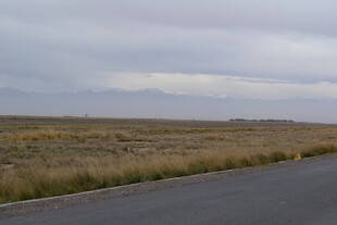 空旷公路旁的荒野景观