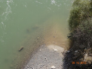 河边碎石与植被景观