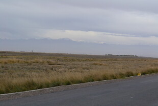 公路旁的广袤原野