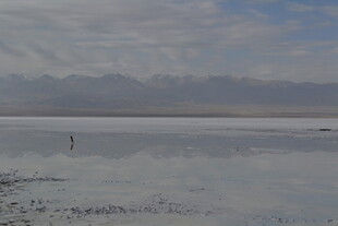 广阔盐湖 一人独行天地间