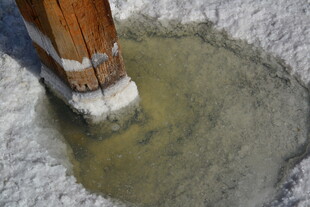 木桩旁的积水坑