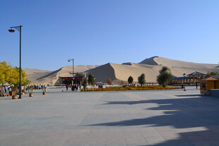 沙漠旁的开阔场地景观