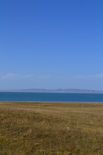 草原与海的辽阔景致