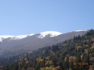 雪山下的多彩山林景观