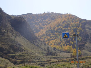 山间公路警示标志
