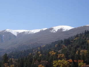 秋日山林与远处雪山美景