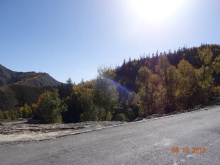 秋日公路旁的多彩山林