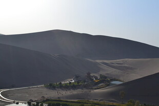 沙漠中的绿洲景观