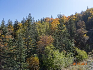 秋日山林斑斓美景
