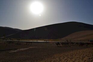 阳光下的开阔山地景观