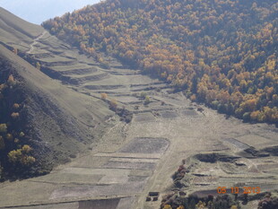 秋日山间梯田壮丽景致