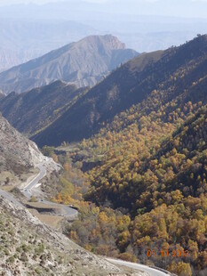 山间秋色公路美景