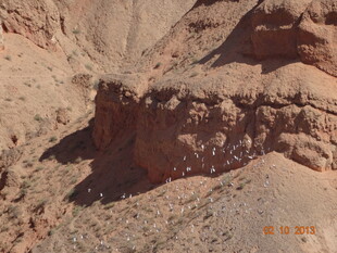 壮丽沙漠岩石景观