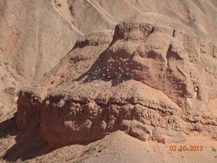 壮丽沙漠岩石景观
