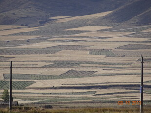 广袤农田与远山景观